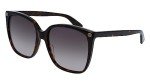Gucci Havana Brown Square Sunglasses for Women