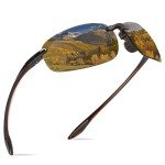 WISTON Polarized Rimless Sports Sunglasses – Brown