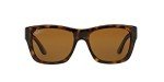 Ray-Ban RB4194 Polarized Square Sunglasses - Light Havana