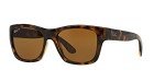 Ray-Ban RB4194 Polarized Square Sunglasses - Light Havana