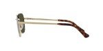 Persol PO1009S Gold/Green Square Sunglasses 54mm