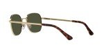 Persol PO1009S Gold/Green Square Sunglasses 54mm