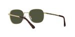 Persol PO1009S Gold/Green Square Sunglasses 54mm