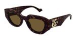 Gucci GG1421S Brown Havana Women’s Sunglasses