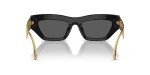 Versace Black/Gold VE 4432U Fashion Sunglasses