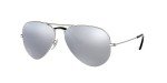 Ray-Ban Matte Silver Polarized Aviator Sunglasses