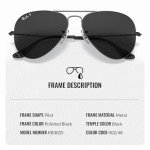 Ray-Ban Total Black Polarized Aviator Sunglasses