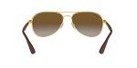 Ray-Ban RB3549 Gold Polarized Aviator Sunglasses