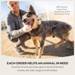 WearMe Pro Vintage Polarized Large Square Sunglasses