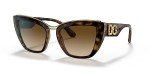 Dolce & Gabbana Women's Round Sunglasses in Havana