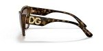 Dolce & Gabbana Women's Round Sunglasses in Havana