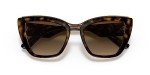 Dolce & Gabbana Women's Round Sunglasses in Havana