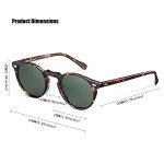 CANYEUX Vintage Round Polarized Sunglasses - Tortoise Frame
