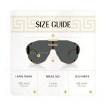 Versace VE2268 Gold/Dark Grey Shield Sunglasses for Men