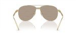 Versace Gold Frame Sunglasses with Brown Lenses