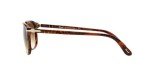 Persol PO3019S Square Sunglasses in Caffe Brown