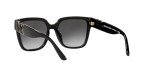 Michael Kors MK2170U Karlie Square Sunglasses