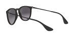 Ray-Ban Erika Low Bridge Round Sunglasses