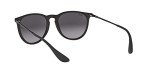 Ray-Ban Erika Low Bridge Round Sunglasses