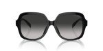 COACH Women's Low Bridge Square Sunglasses - Black/Grey