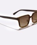 Trendy Square Brown Sunglasses for All Ages