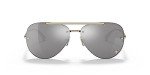 Versace VE2231 Pale Gold Sunglasses with Gray Lenses