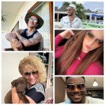 FEISEDY Vintage Aviator Metal Sunglasses B2894