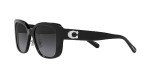 Coach Black and Grey Gradient Sunglasses 54mm