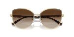 Michael Kors MK1144B Catalonia Cat Eye Sunglasses
