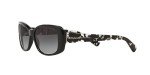 Coach 8168 Black/Grey Gradient Sunglasses, 56mm