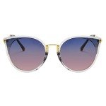 FEISEDY Vintage Polarized Cat Eye Sunglasses