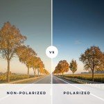 Chai Tortoise Round Polarized Sunglasses by Peepers