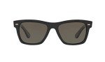 Oliver Peoples OLIVER SUN OV5393SU Black Sunglasses