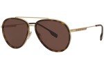 Burberry Oliver Gold Dark Brown Sunglasses BE 3125