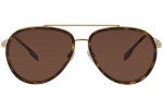 Burberry Oliver Gold Dark Brown Sunglasses BE 3125