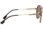 Burberry Oliver Gold Dark Brown Sunglasses BE 3125