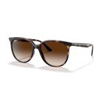 Ray-Ban RB4378 Brown Gradient Square Sunglasses