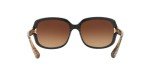 Coach HC8169 Black/Brown Gradient Sunglasses, 57 mm