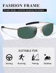 AEVOGUE Retro Polarized Men's Sunglasses - Gold Frame