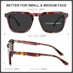 CARFIA Men’s Polarized Retro Panto Sunglasses