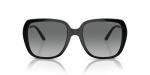 Michael Kors Albany Sunglasses, Black/Dark Grey