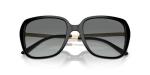 Michael Kors Albany Sunglasses, Black/Dark Grey