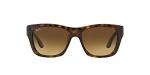 Ray-Ban RB4194 Square Sunglasses in Light Havana
