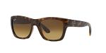 Ray-Ban RB4194 Square Sunglasses in Light Havana