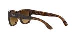 Ray-Ban RB4194 Square Sunglasses in Light Havana
