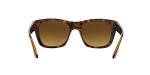 Ray-Ban RB4194 Square Sunglasses in Light Havana