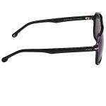 Carrera Men's Polarized Black and Gold Navigator Sunglasses