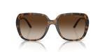 Michael Kors Albany Sunglasses, Dark Tortoise/Brown Gradient