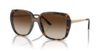 Michael Kors Albany Sunglasses, Dark Tortoise/Brown Gradient