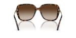 Michael Kors Albany Sunglasses, Dark Tortoise/Brown Gradient